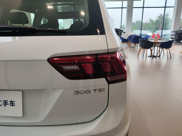 Tiguan L 2024 300TSI AT RWD photo 7