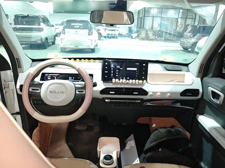 2024 200km Panda photo 5