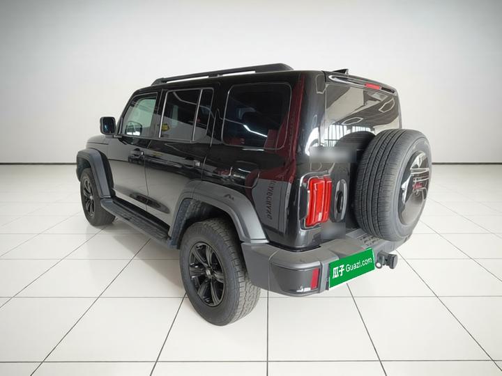 300 2024 2.0T Conqueror photo 4