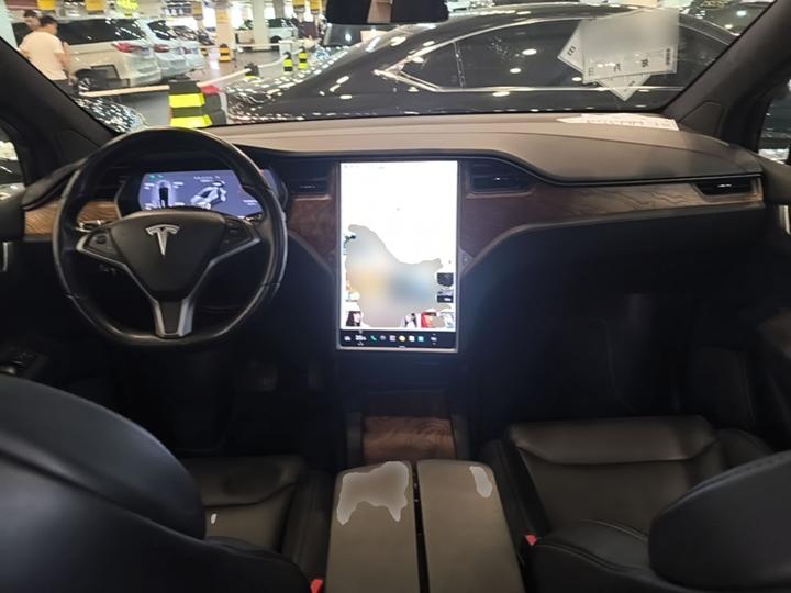 2017 Model X 100D Long Range photo 5