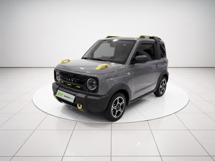 2023 Panda mini