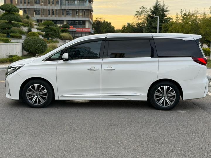 GAC Trumpchi M8 2020 Pilot 390T Supreme photo 4