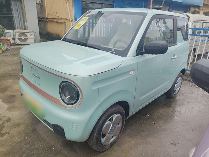 2024 Panda mini 200km Endurance Bear