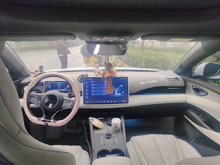 Seal 06 EV 2024 DM-i 120KM Flagship photo 8