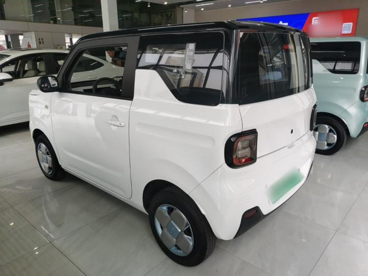 2023 Panda mini 200km Endurance Bear photo 4