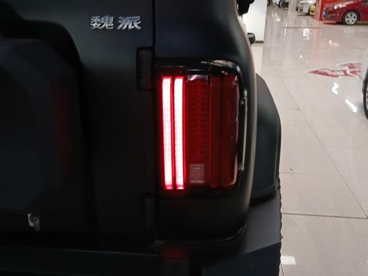 300 2021 Off-road 2.0T Conqueror photo 7