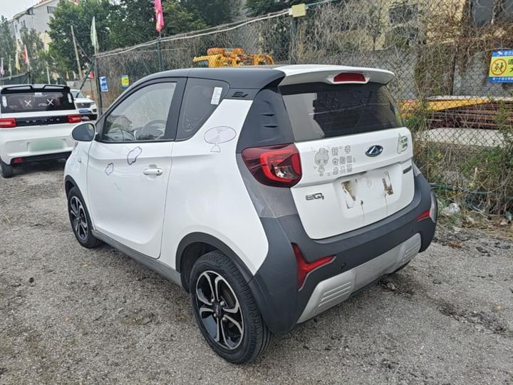 QQ Little Ant 2021 15 LFP photo 4