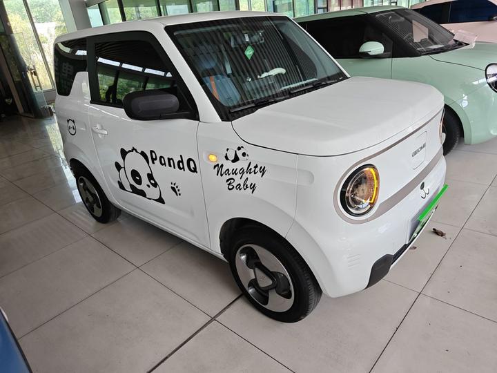 2023 Panda mini 200km Endurance Bear photo 3