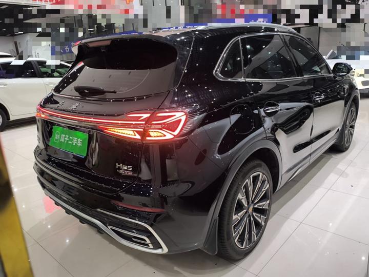 HS5 2025 2.0T AWD Pro photo 6
