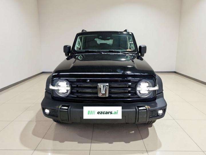 300 2024 2.0T Conqueror photo 2