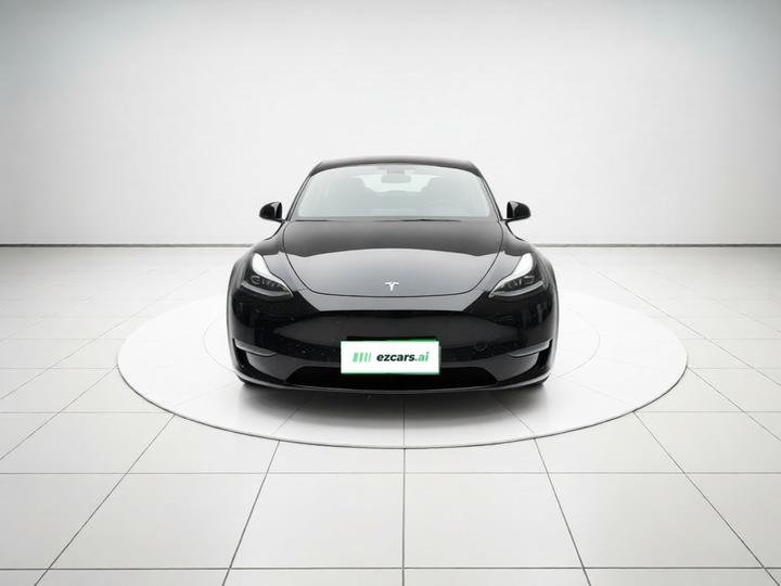 Model Y 2021 Long Range AWD photo 2