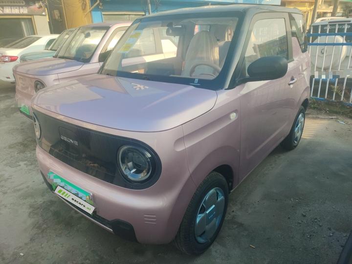 2024 Panda mini 200km Endurance Bear