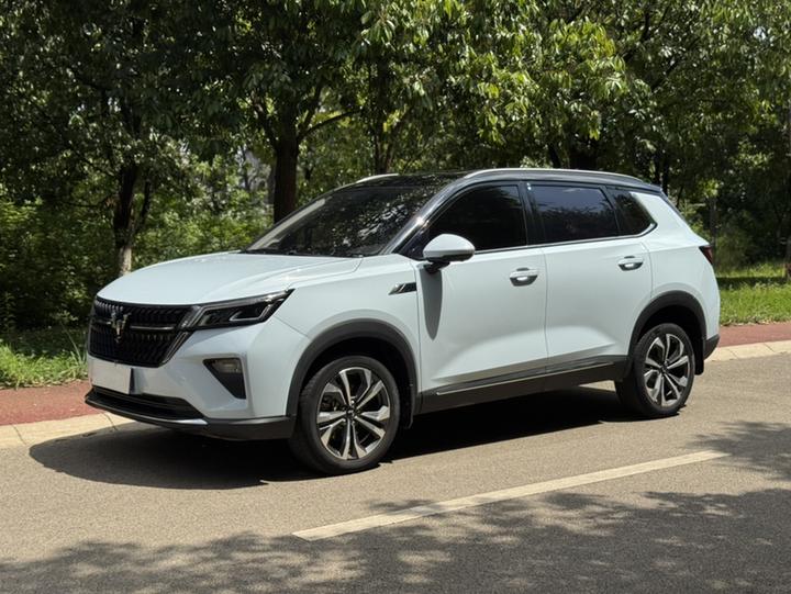 Wuling 2022 2.0L DHT