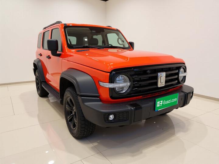 300 2021 Off-road 2.0T photo 3