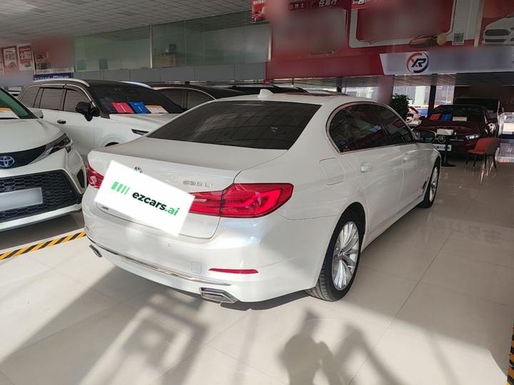 5 Series 2019 Facelift 530Li xDrive Luxury photo 4