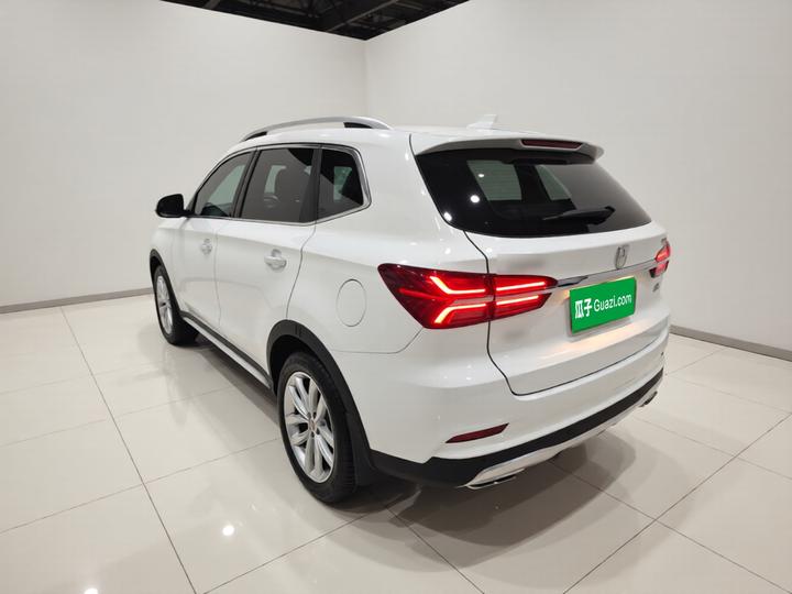 RX5 2016 30T AWD AT Smart Premium photo 4