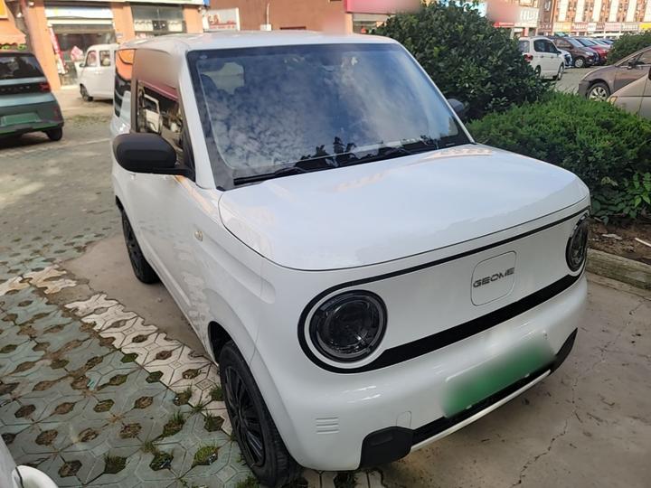 2023 Panda mini 200km Endurance Bear photo 3