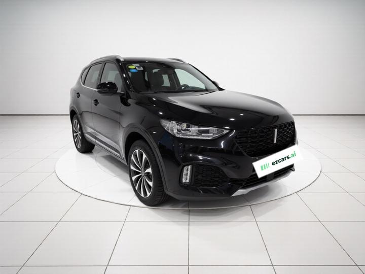 VV6 2018 2.0T RWD Flagship China V photo 3