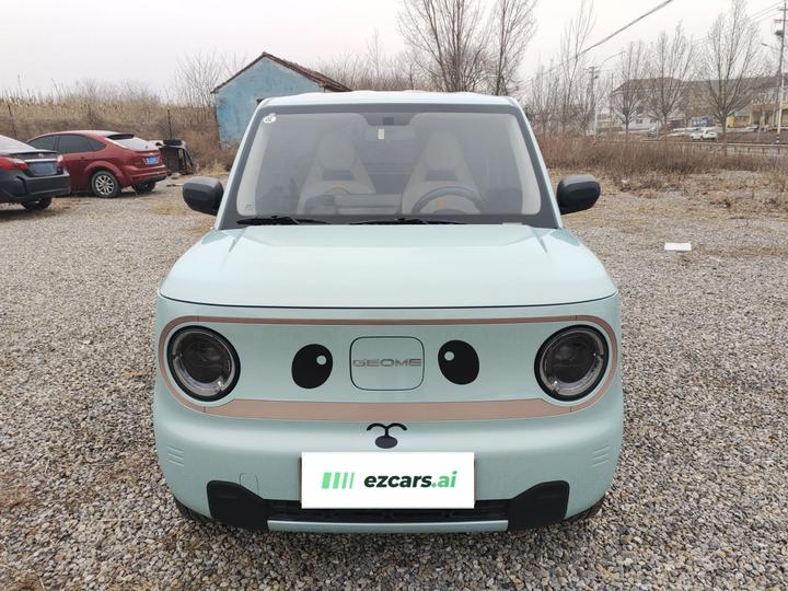 2024 Panda mini 200km Endurance Bear photo 2
