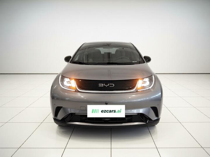 Dolphin 2024 Honor 420km Fashion photo 2