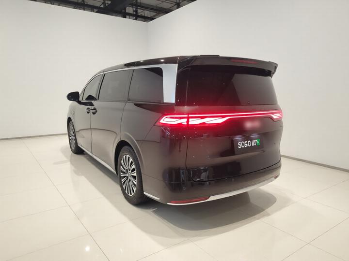 2025 DM-i 1.5T 180km Excellence photo 4