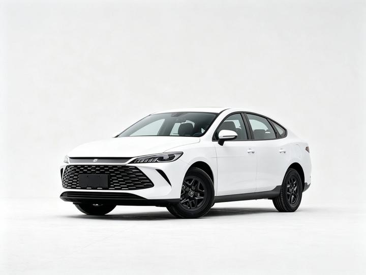 Qin PLUS 2026 DM-i 128KM Progressive photo 2