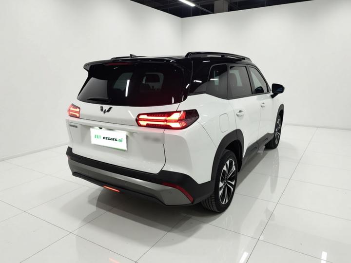 560 EV 2026 125km Luxury photo 4
