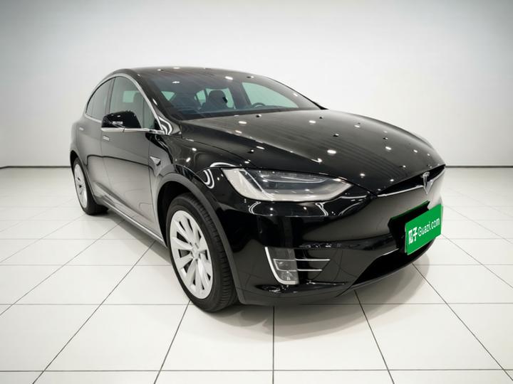 Model X 2019 Long Range photo 3