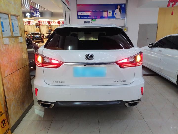 RX 2016 300 RWD Elite China V photo 3