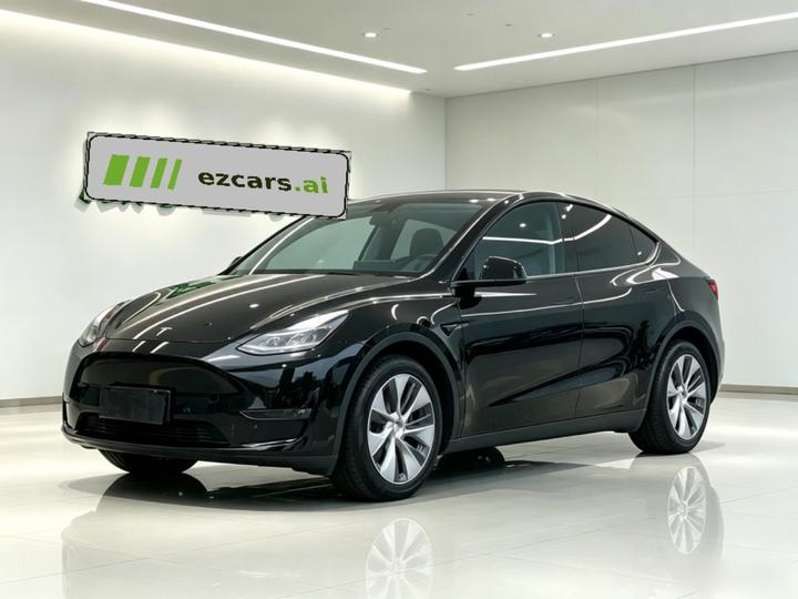 Model Y 2021 Standard Range RWD