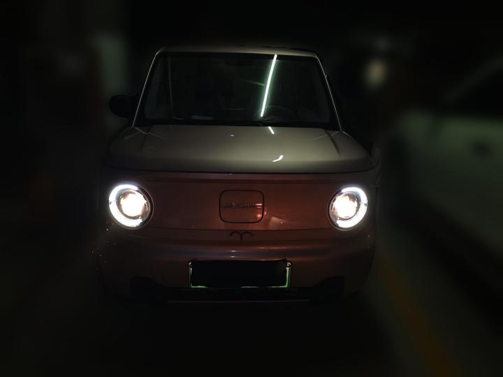 2023 Panda mini 200km Endurance Bear photo 2