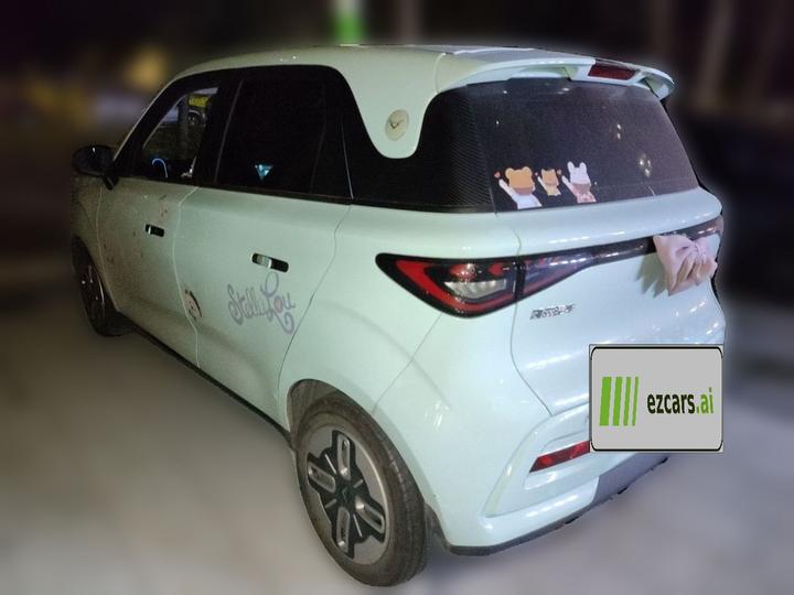 2025 Mate 300km LX photo 4