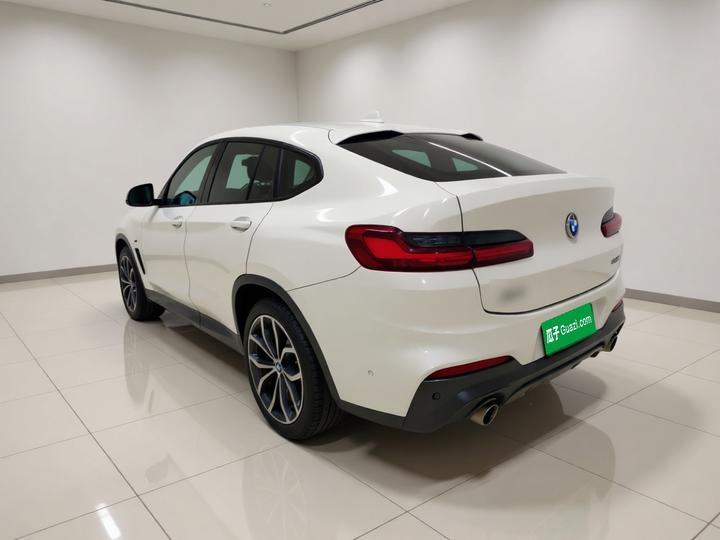X4 2019 xDrive25i M Off-road photo 4