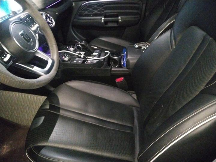300 2021 Off-road 2.0T Conqueror photo 7