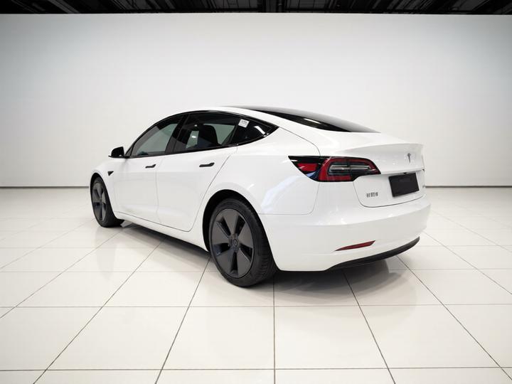 Model 3 2021 Standard Range RWD Upgraded 3D6 photo 4