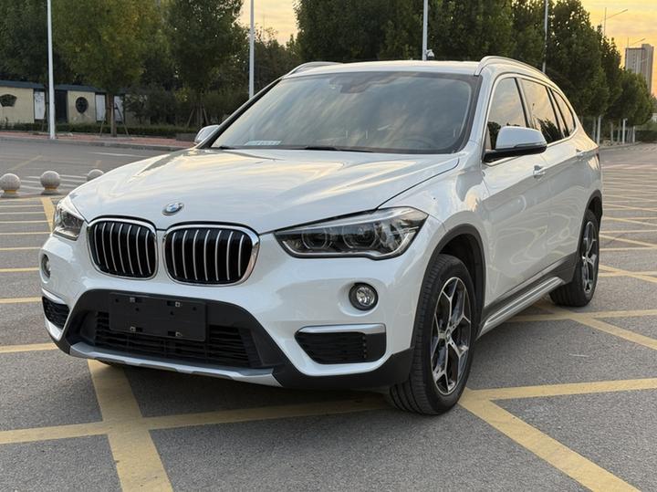 X1 2019 sDrive18Li Exclusive
