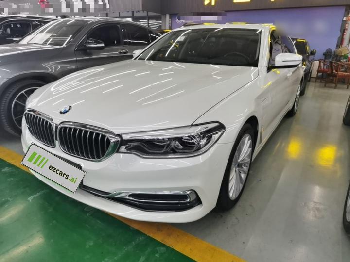 5 Series EV 2019 Facelift 530Le Luxury
