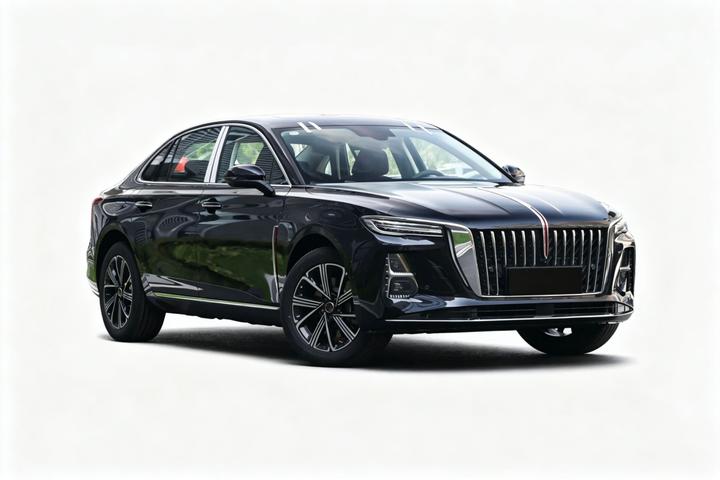 H5 PHEV 2025 170 photo 2