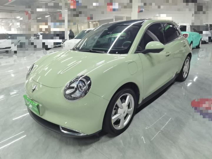 Good Cat 2023 401km Standard Range Luxury LFP