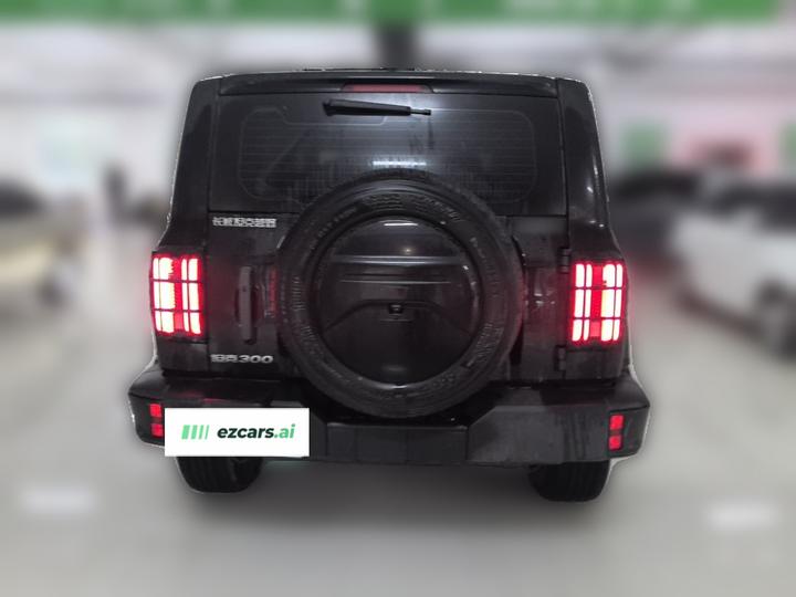 300 2024 2.0T Conqueror photo 5