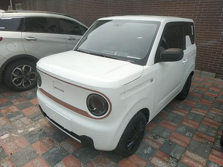 2023 Panda mini 200km Endurance Bear