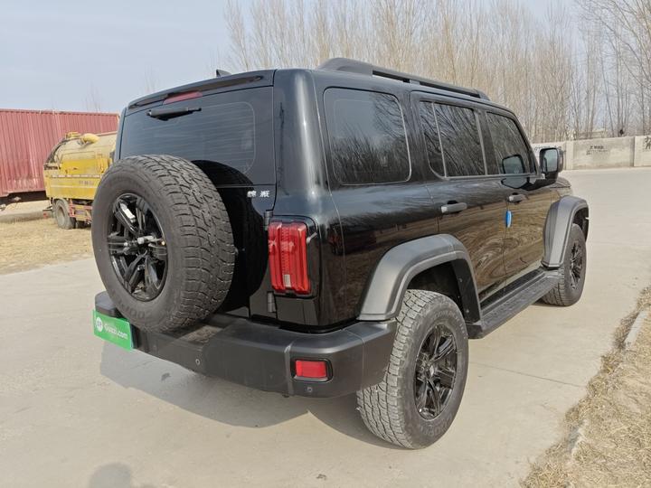 300 2021 Off-road 2.0T Conqueror photo 4
