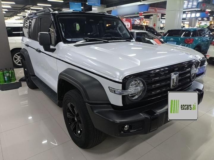 300 2023 Off-road 2.0T Conqueror photo 3