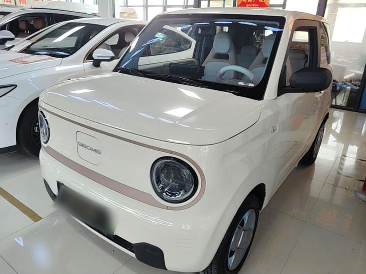 2023 Panda mini 200km Endurance Bear