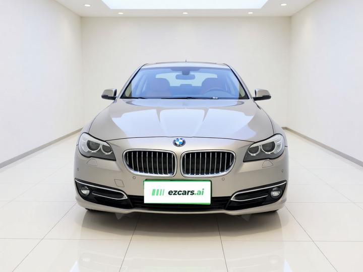 5 Series 2014 525Li Luxury Design Package photo 2