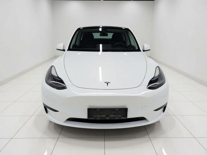 Model Y 2024 RWD photo 2