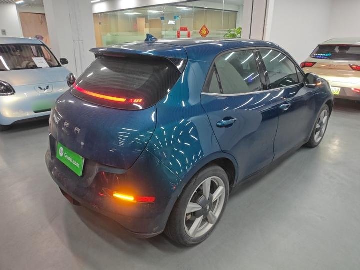 Good Cat 2021 400km Standard Range LFP photo 4