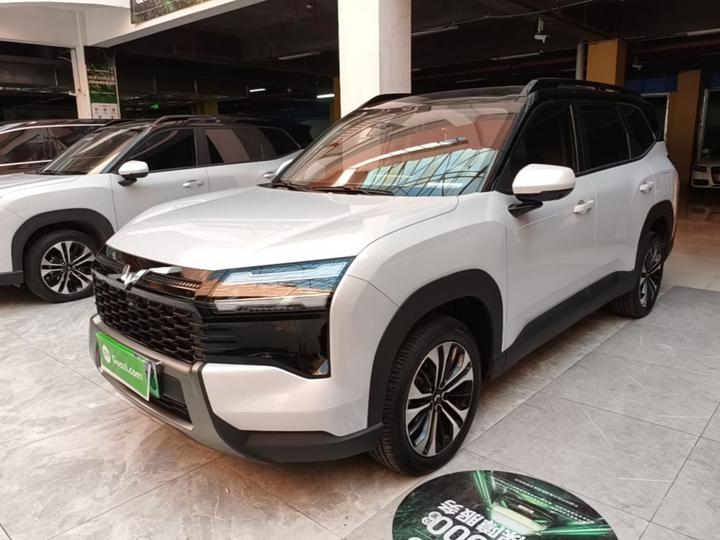 560 EV 2026 125km Luxury