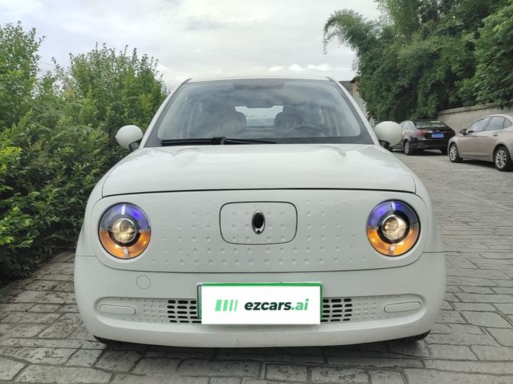 2019 351km photo 2