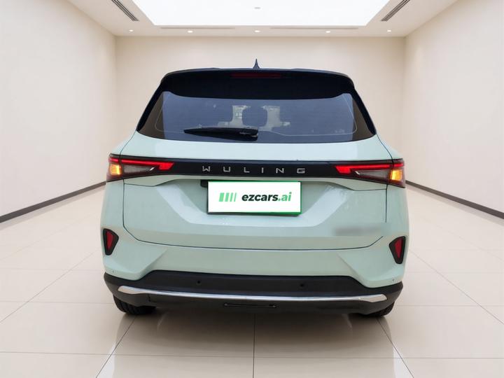 Wuling 2022 2.0L DHT photo 5